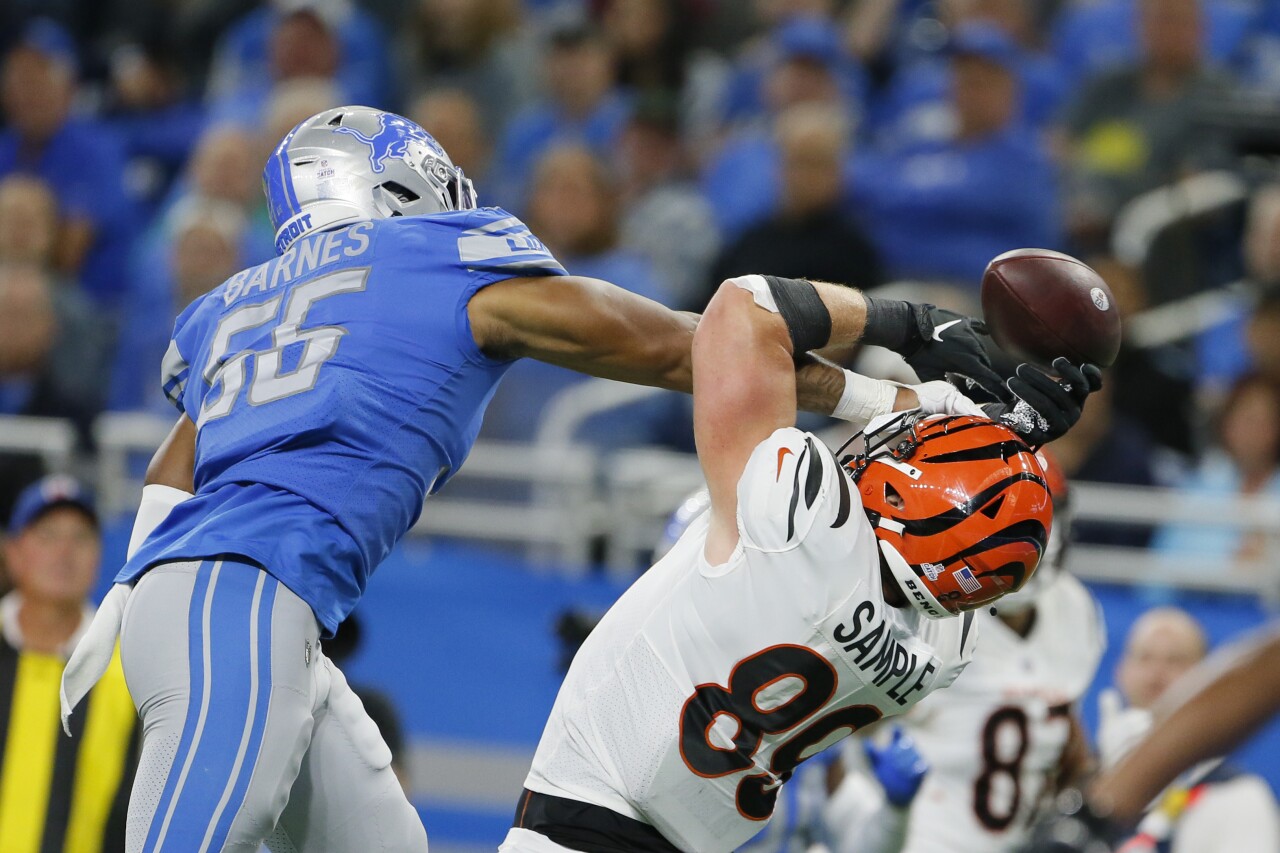 Bengals Lions Football