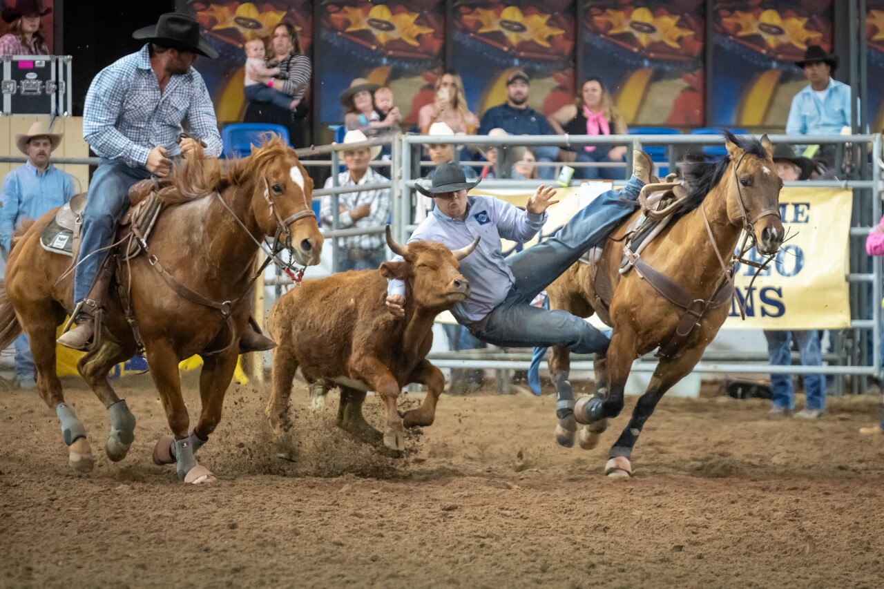Scottsdale Rodeo.jpg