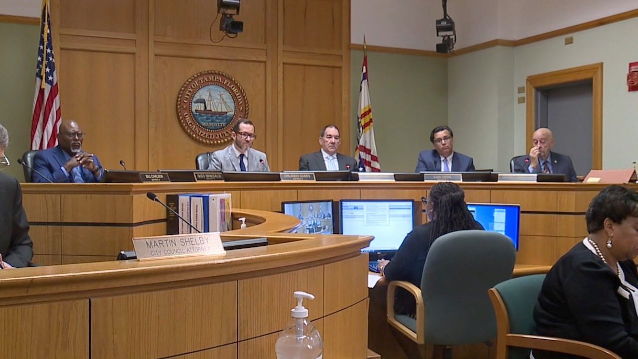 Tampa City Council Heather Leigh WFTS.png