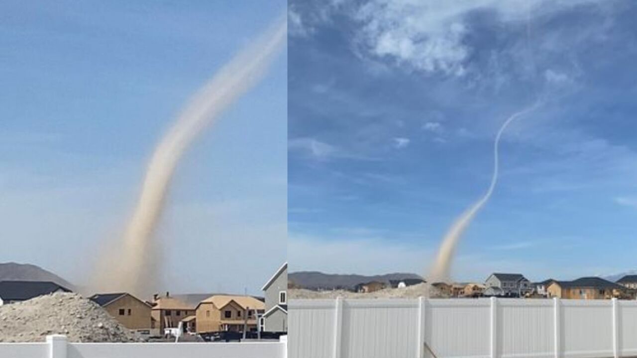 untitled image - 2022-05-18T174458.608.jpg