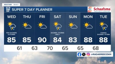 7 DAY FORECAST