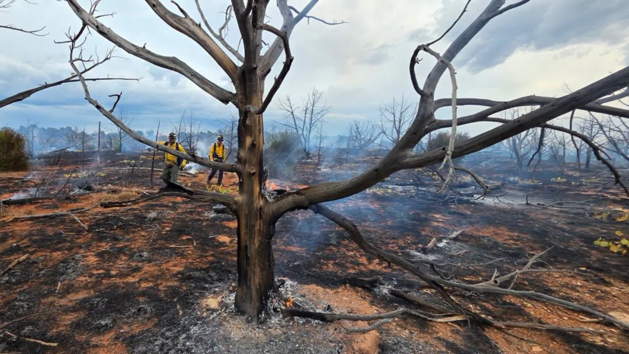 Evacuation warnings issued for new wildfire near Zion National Park