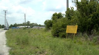 Project Orchid site 