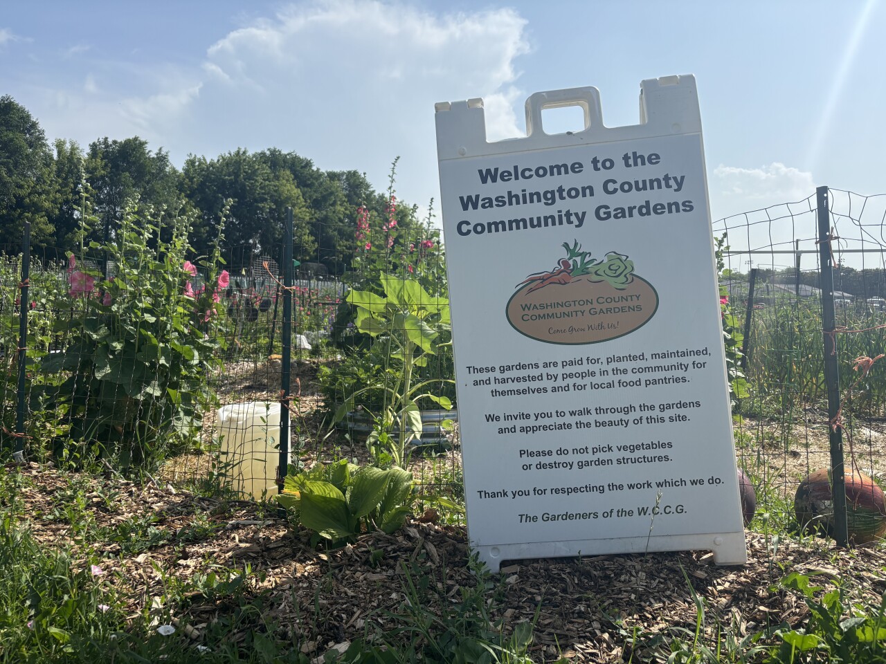 Washington County community garden grows food for those in need — and wants more people to know about it