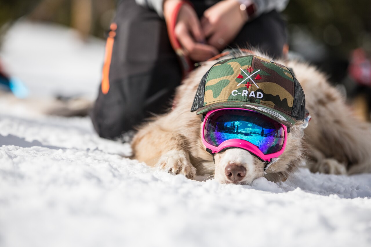 C-RAD Winter Course 2019_Dave Camara