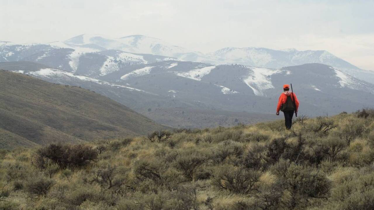 Chukar Hunting.jpg