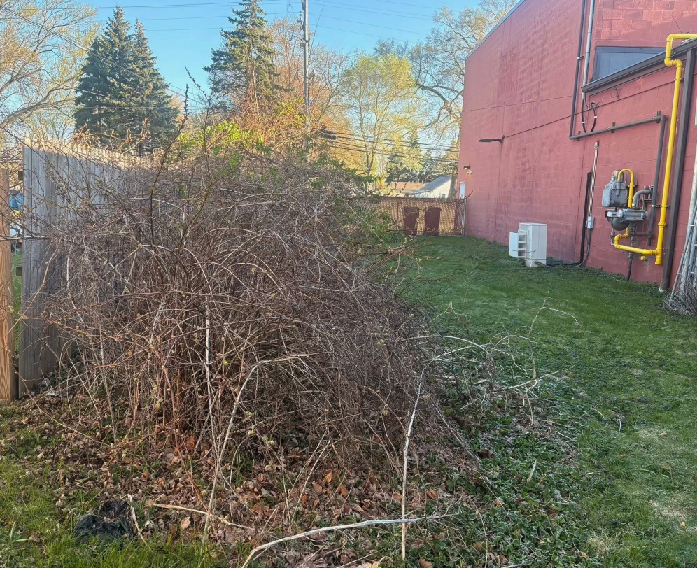 Screenshot 2026-04-21 at 10.46.09 AM.png