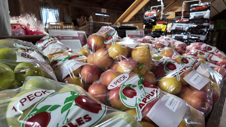 Screenshot 2026-02-05 at 5.10.25 PM.png