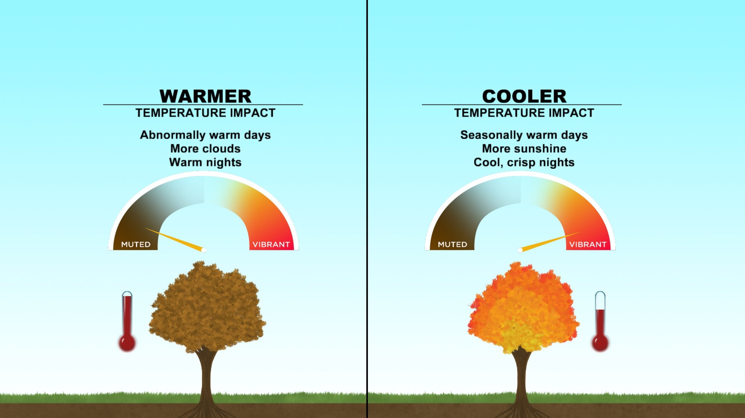 Meteorological Fall is around the corner!