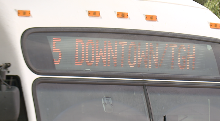 Bus