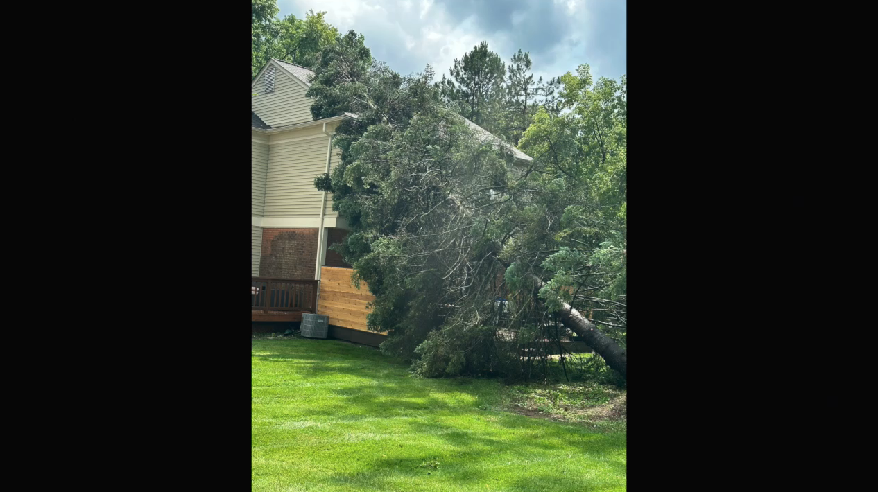 Screenshot 2024-06-20 at 10.17.56 PM.png