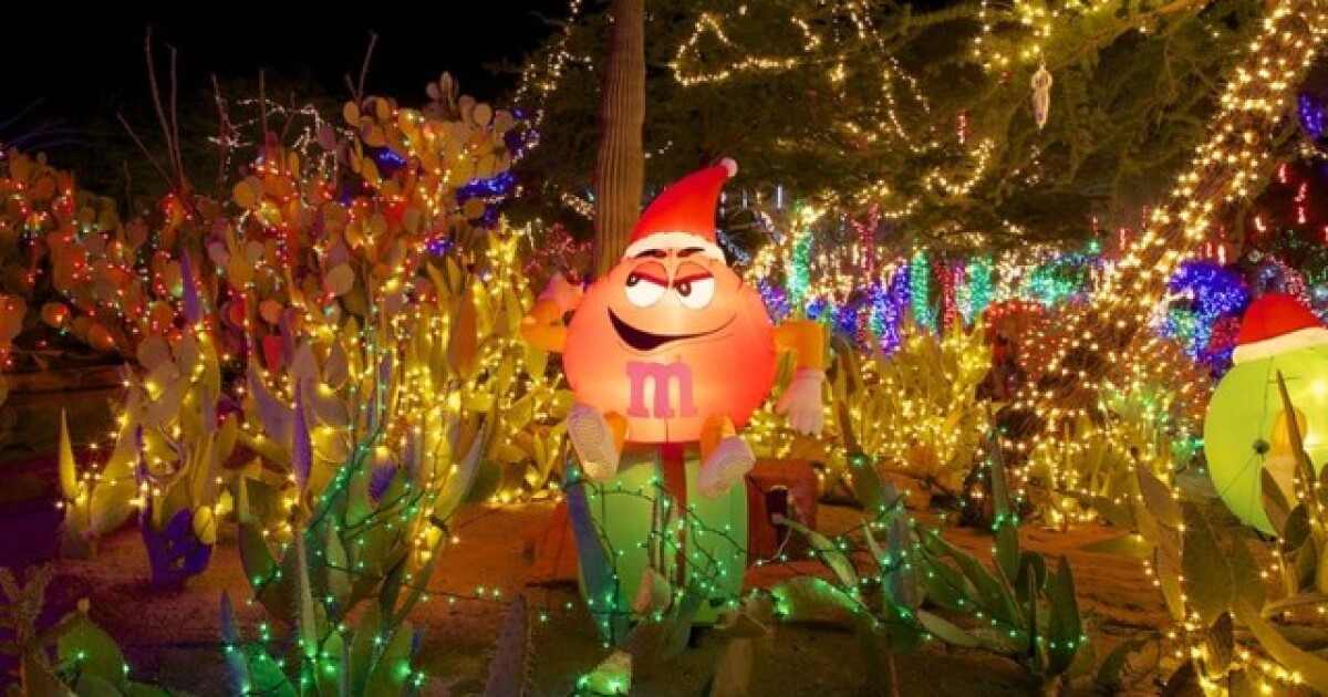 Ethel M Kicks Off Holidays With Lighting Of Cactus Garden Ethel M Cactus Garden Christmas 2021