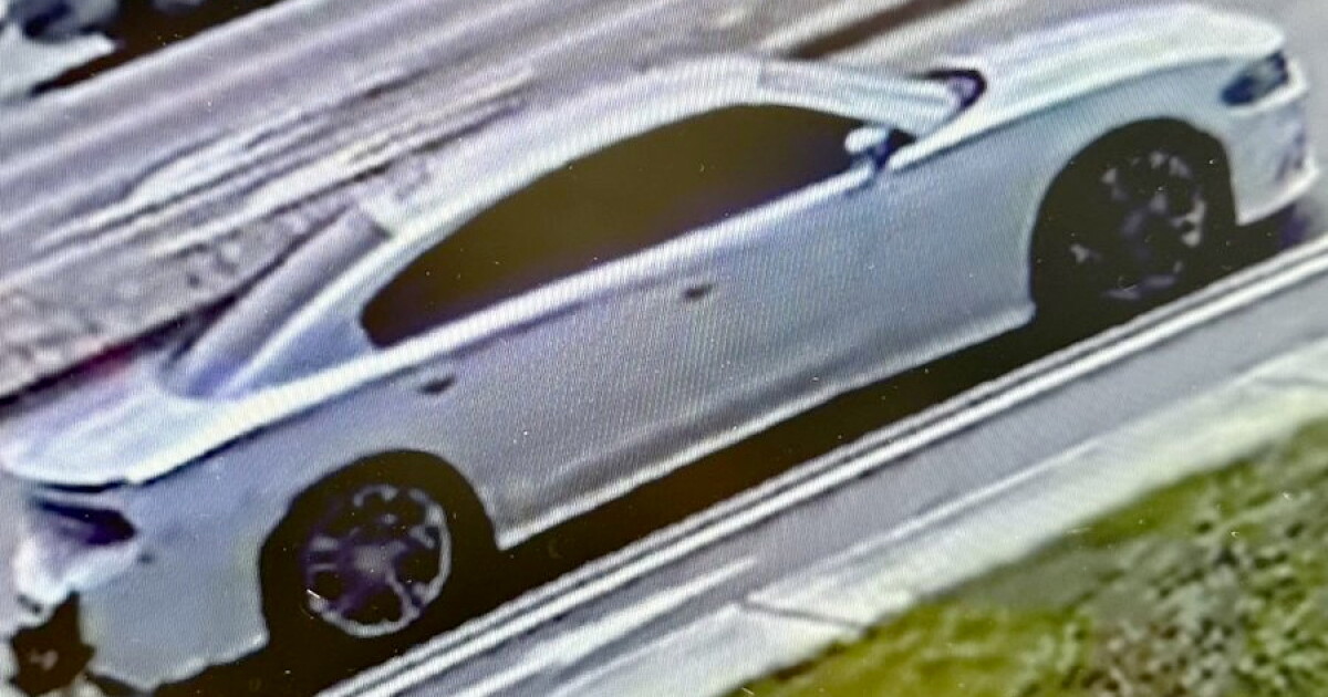Port St. Lucie seek driver in fatal shooting at state park - Vimarsana News