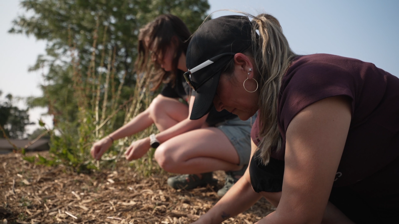 NATIVE PLANTS PKG CR .00_01_29_00.Still009.png