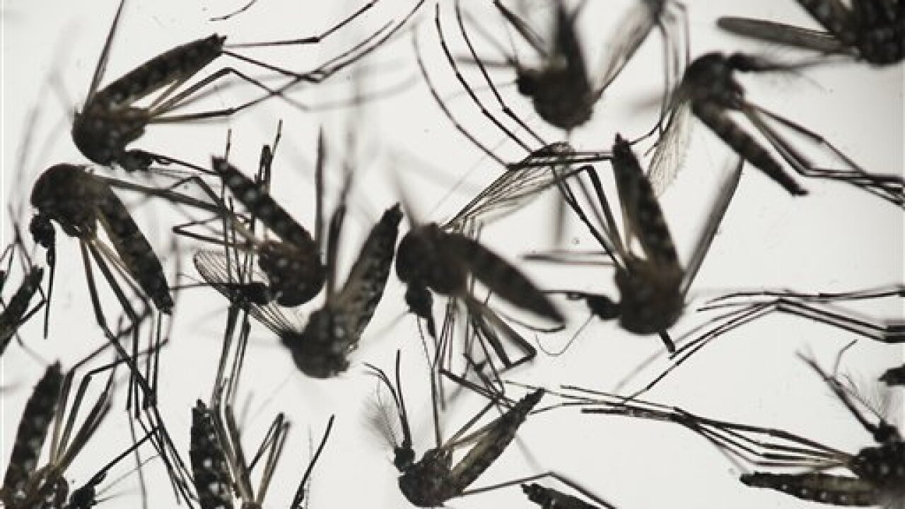 West Nile virus symptoms are similar to COVID-19 at first, experts say