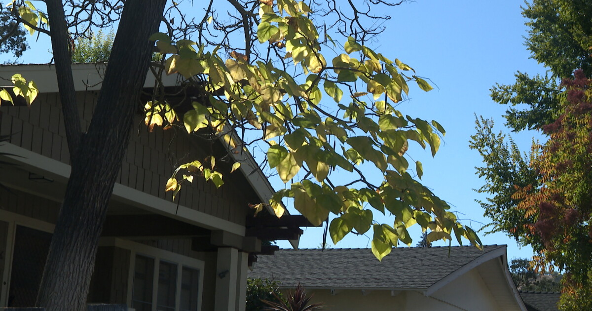 Paso Robles City Council considers the need for additional housing - Vimarsana News