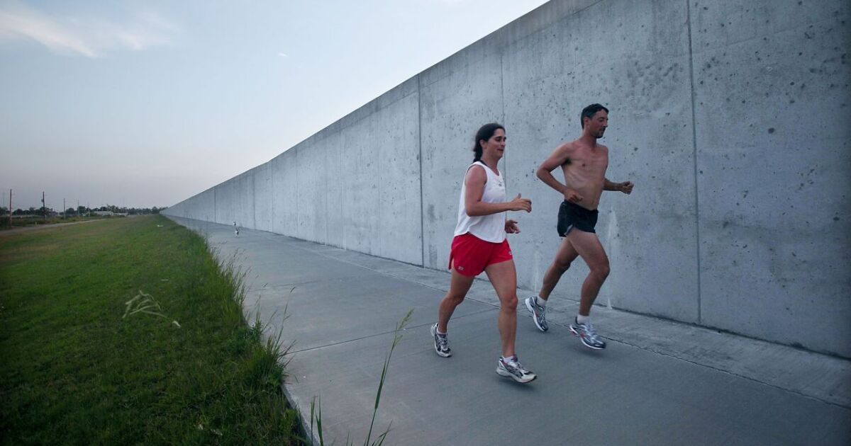 'Runner's High' Is More Than Endorphins (VIDEO)