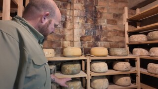 Montana-made cheese crafted underground at Greycliff Mill 