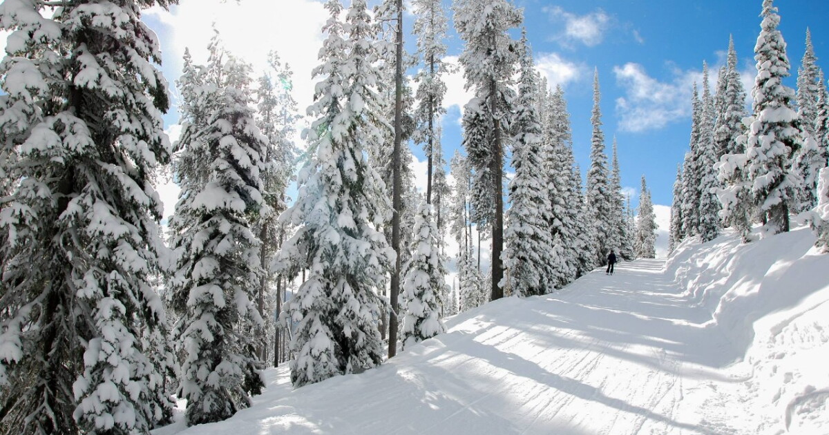 Lost Trail Ski Area closed Friday due to frigid weather - Vimarsana News