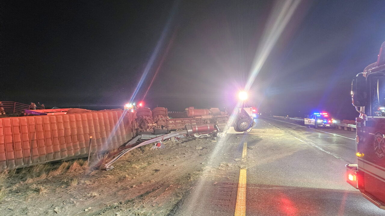 Crash involving cattle trailer closes I-76 east of Brush for several hours, some animals killed.jpg