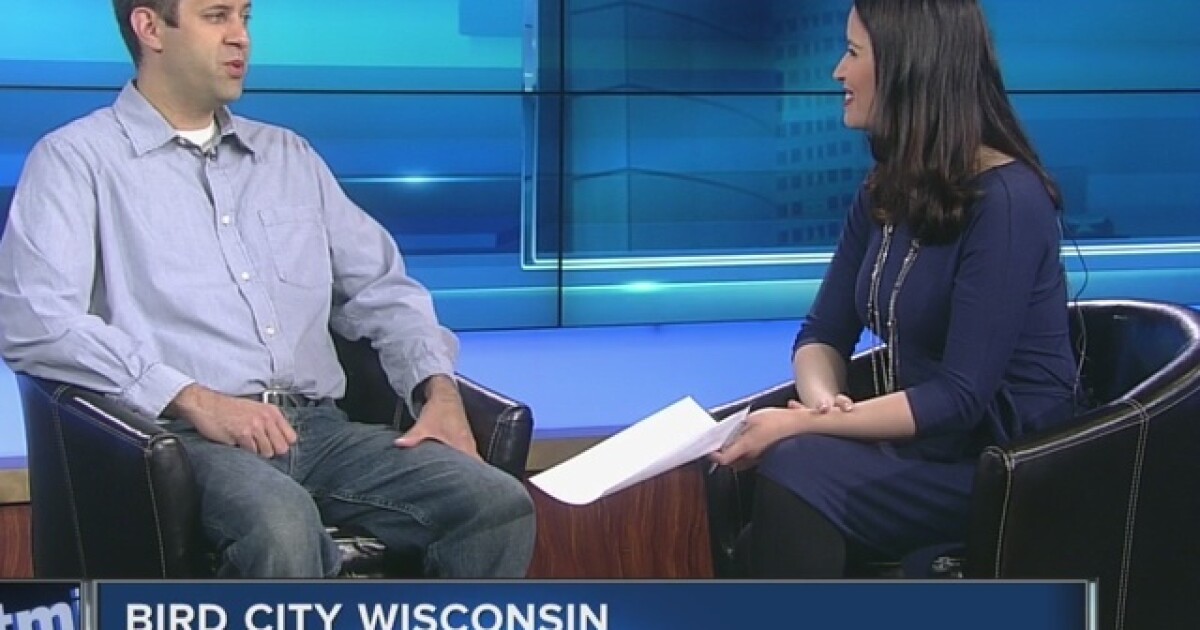 Get to know more about 'Bird City Wisconsin'