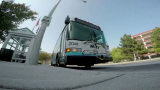 Hampton Roads Transit bus
