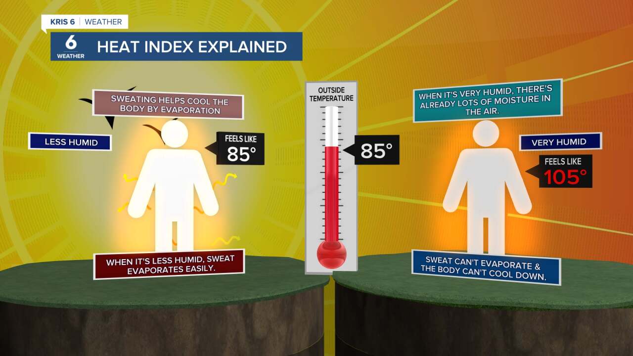 Heat Index Explainer