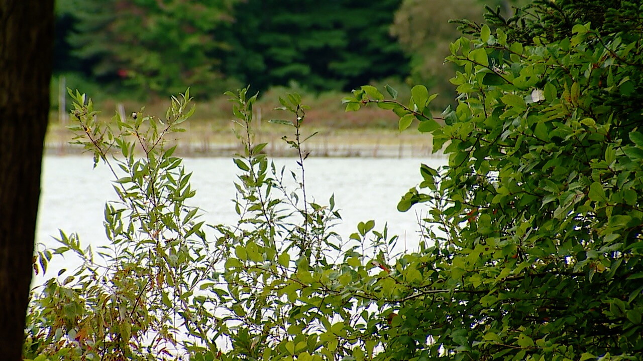 Pickerel Lake .jpg