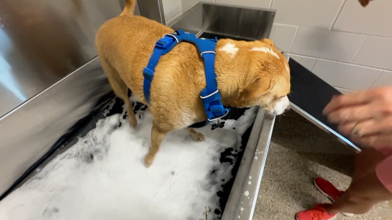 wash station.jpg