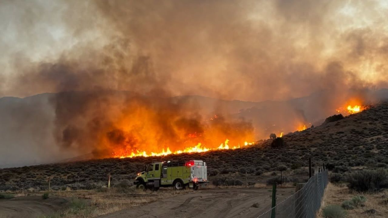 Bug & Fred Mountain fires