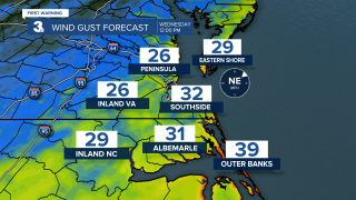 ADI Wind Gust Forecast.png