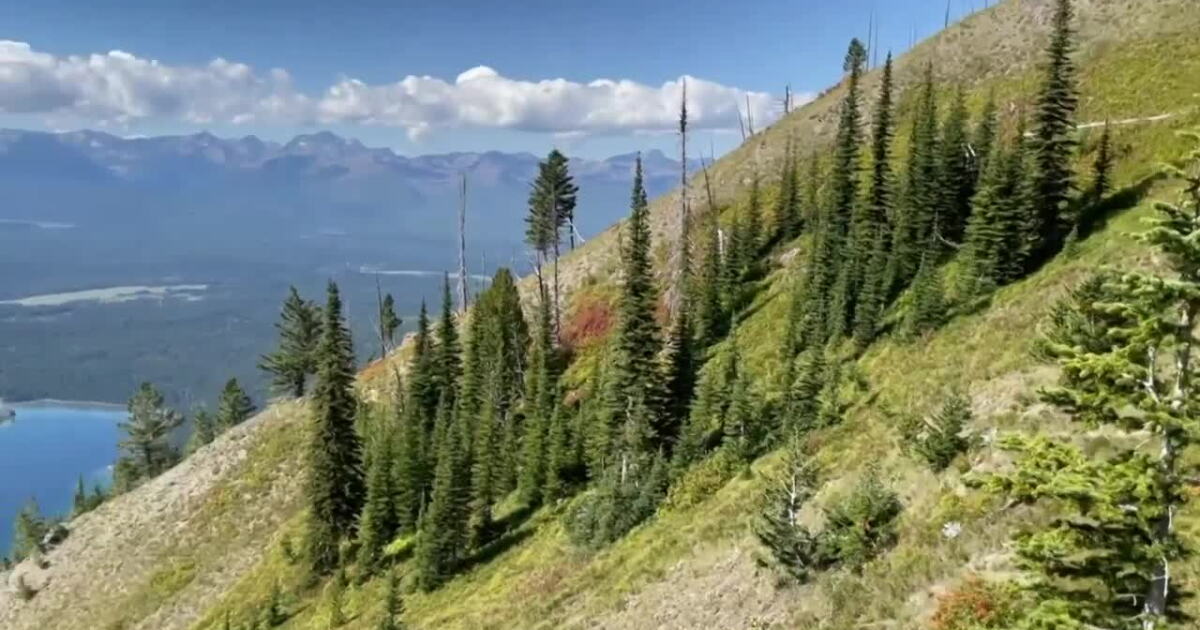 Out and About: Fall hiking in Western Montana - Vimarsana News