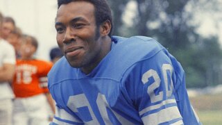 Lions Barney 1971