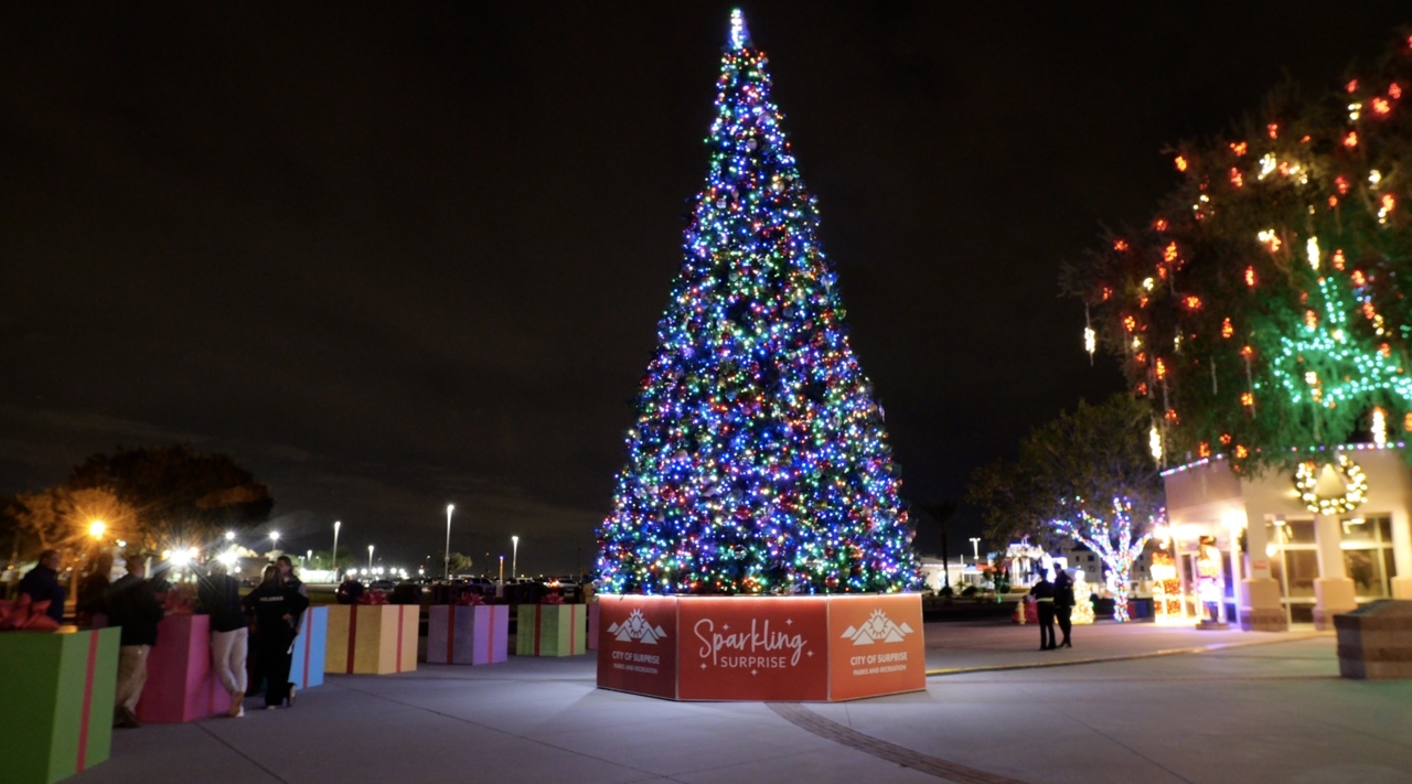 Featured outside the spring training facility for the Kansas City Royals and Texas Rangers is the main Christmas tree ‘Sparkling Surprise.’