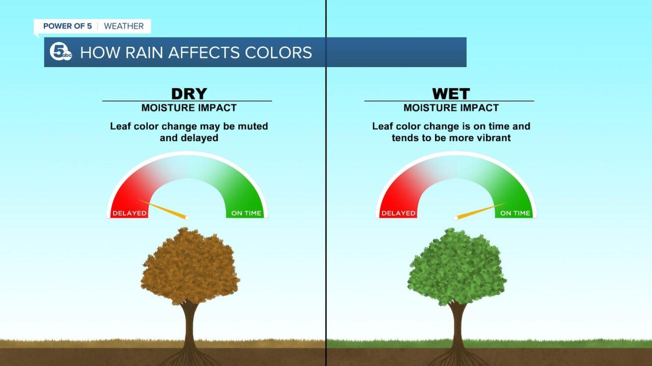 Fall color explainer 2 of 2.jpg