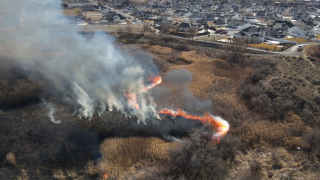 Lehi Brush Fire.png