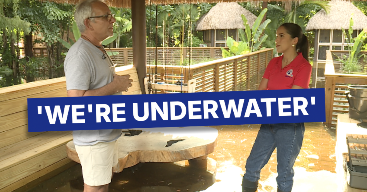 Palm Beach County flooding swamps wildlife sanctuary and homes, leaving thousands in damages
