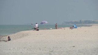 Palm Beach Umbrella