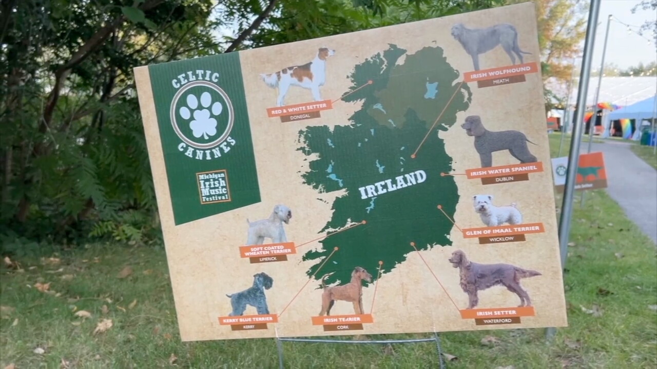 MI_IRISH_MUSIC_FESTIVAL-VO_FILE-archive2.jpg