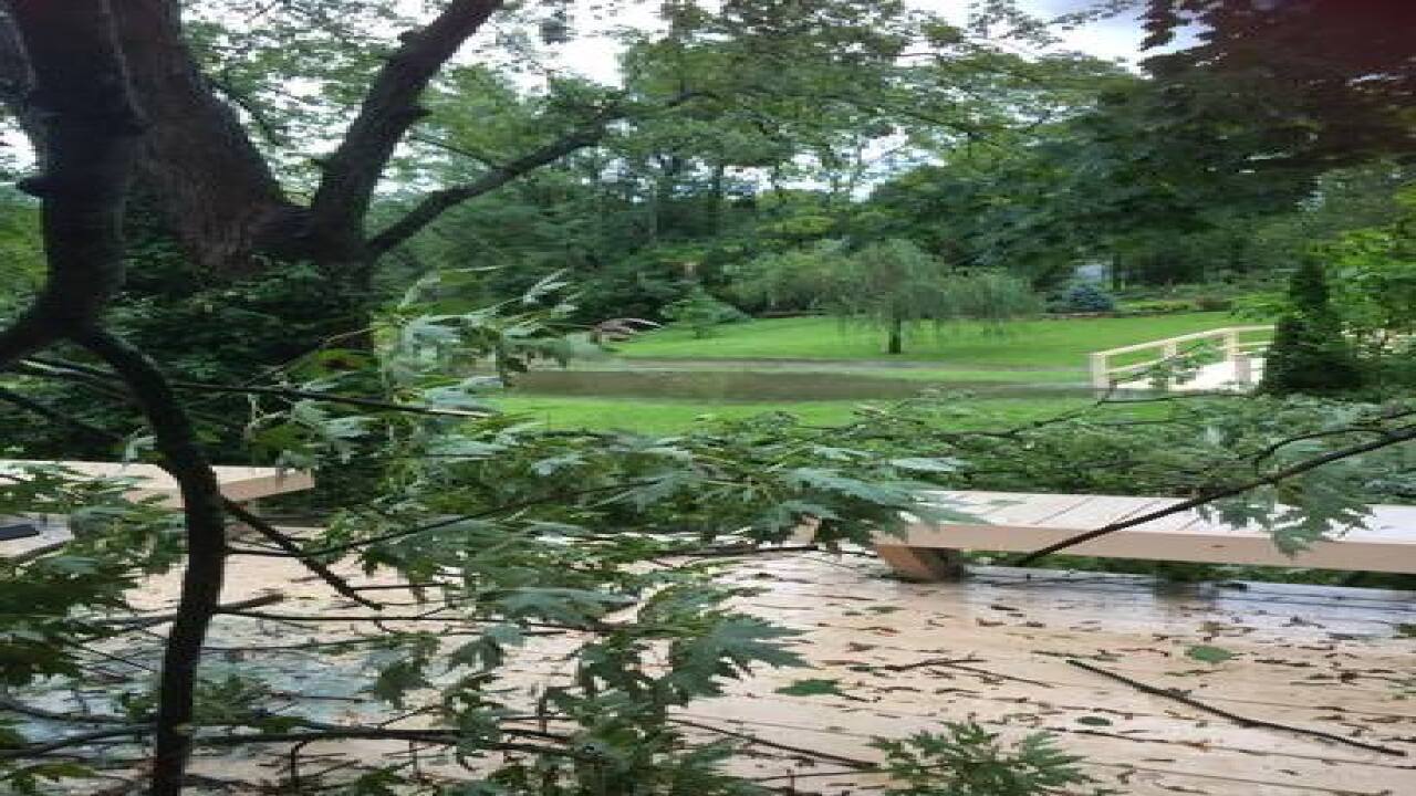 PHOTOS: Ominous clouds, downed trees, flooding