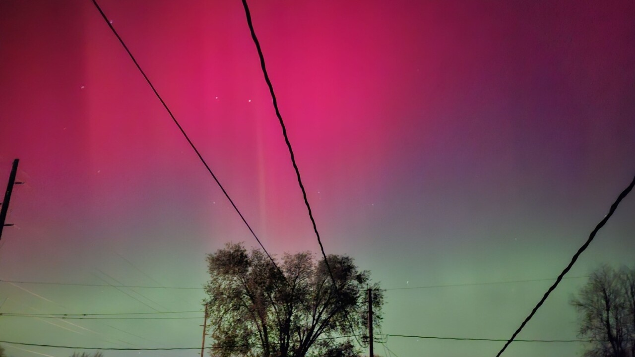 Carla V - Red Oak.jpg