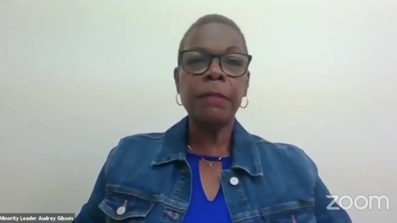 Senate Minority Leader Audrey Gibson