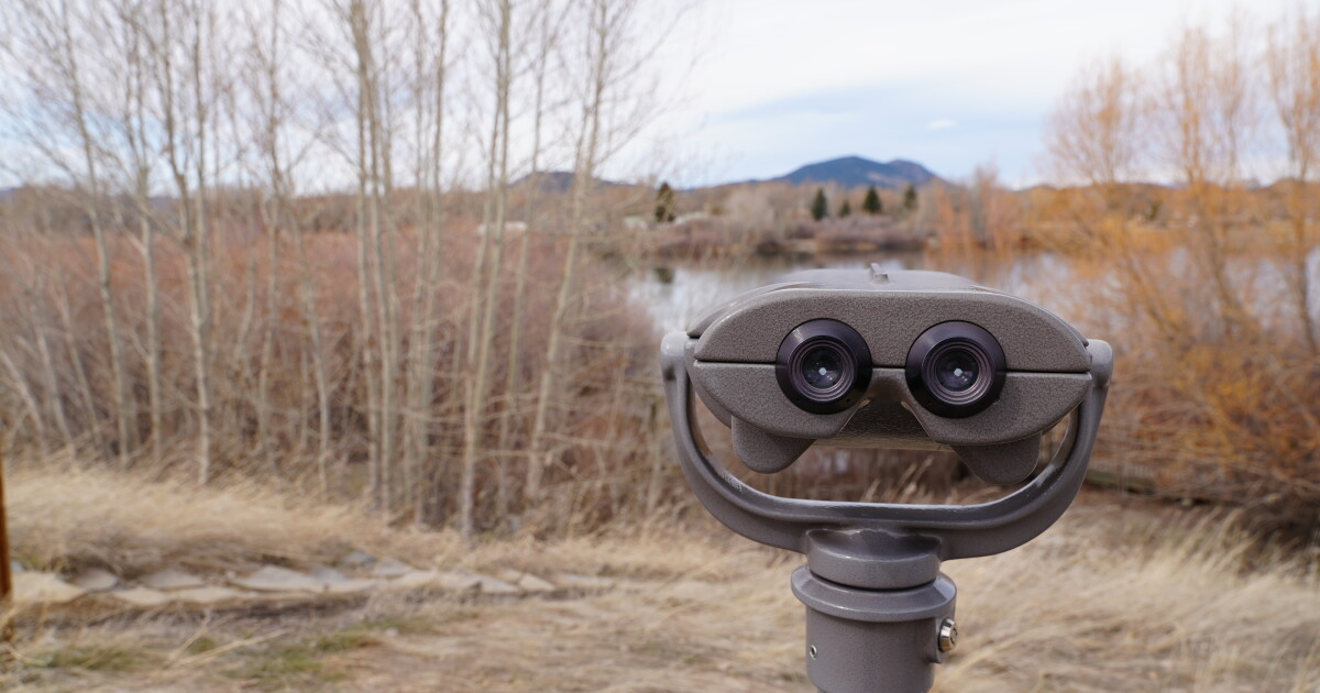 Great time to pick up birding in Montana - Vimarsana News