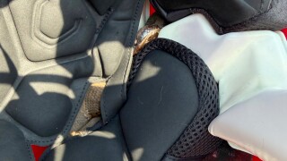 CORRECTION Snake in Helmet