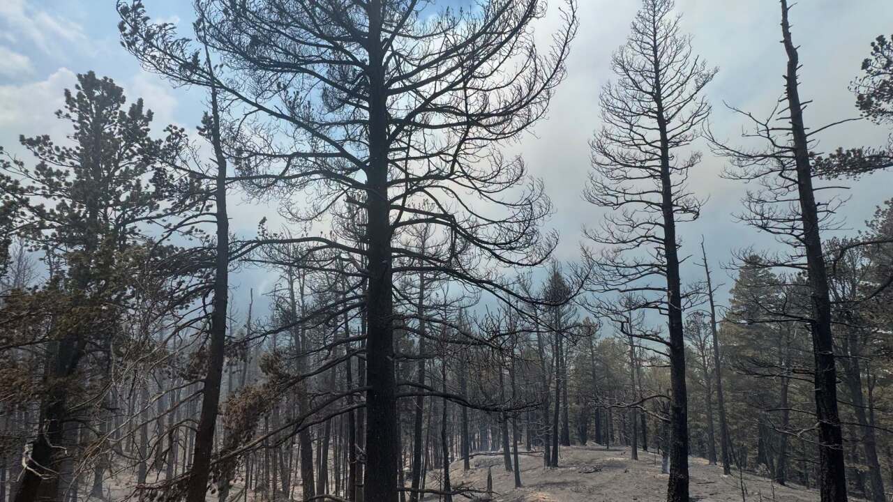Pueblo County Sheriff Disaster