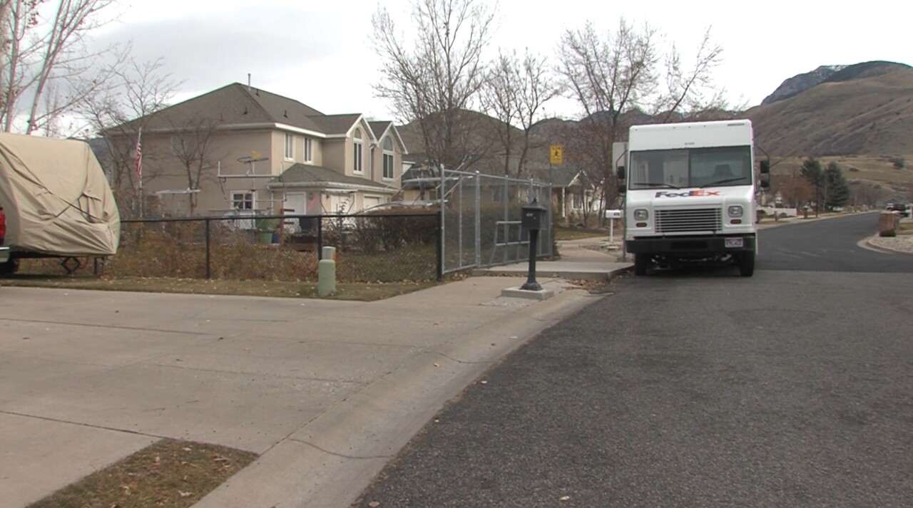 FedEx Truck Driver.jpg