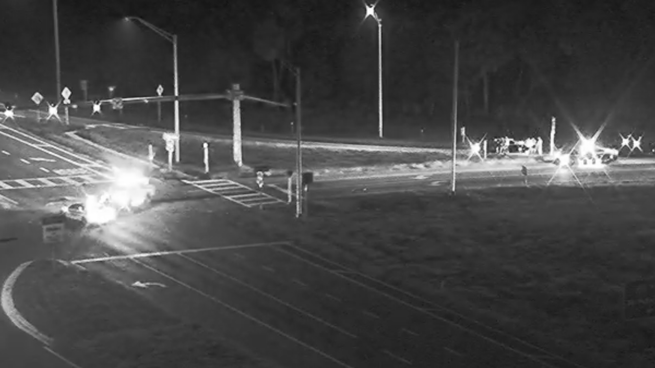 fatal palmetto.png