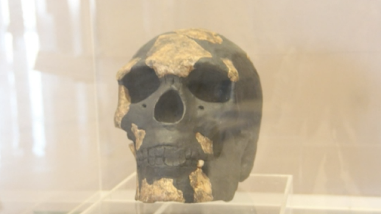 Screen Shot 2022-01-18 at 2.22.29 PM.png