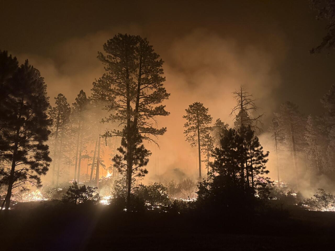 Ferris Fire