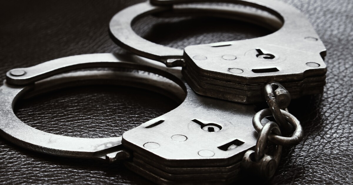 Two men arrested for using fraudulent credit card to buy four puppies for $11K